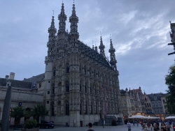 Gebaeude in Loewen
