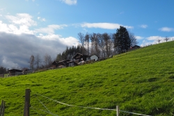 Fruehlingsstimmung