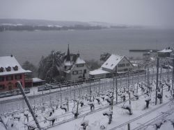 Blick auf Bieler-See