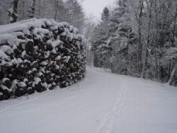 verschneiter Wanderweg