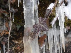Eiszapfen