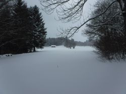 Plateau