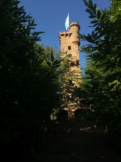 Turm in Klingenberg am Main