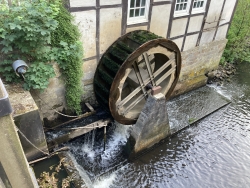 Muehlchen