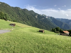 Landschaft