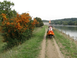 Am Donauradweg